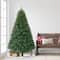 6.5ft. Unlit Wyoming Pine Artificial Christmas Tree